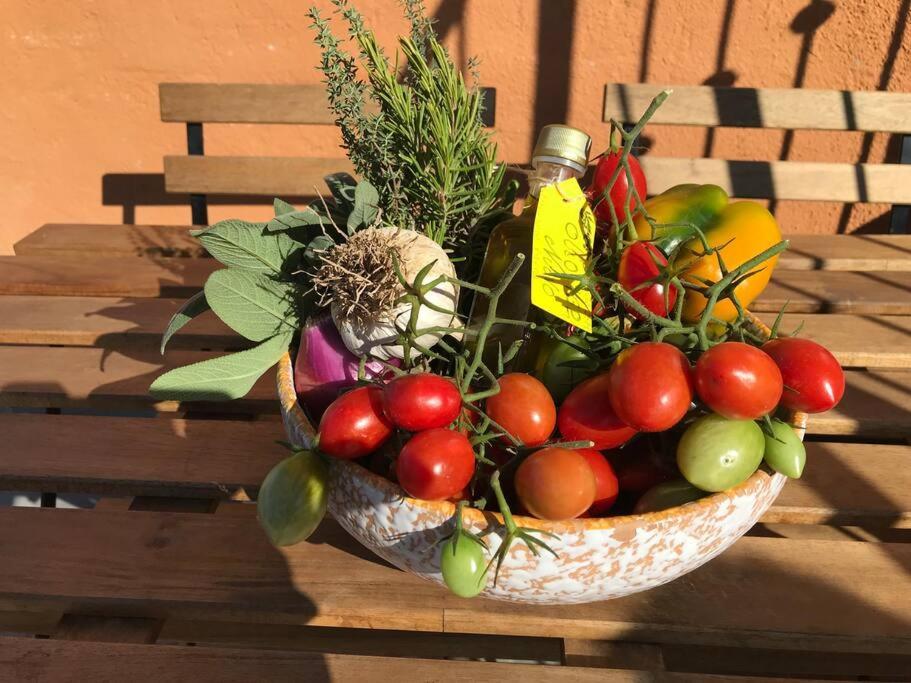 Agriturismo Il Sorbino - Appartamento Da Cocca Pian d'Alma Exteriér fotografie