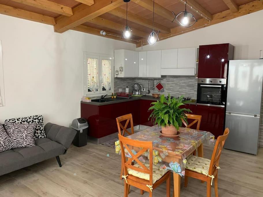 Agriturismo Il Sorbino - Appartamento Da Cocca Pian d'Alma Exteriér fotografie