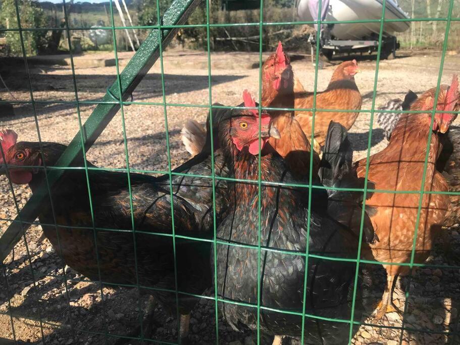 Agriturismo Il Sorbino - Appartamento Da Cocca Pian d'Alma Exteriér fotografie