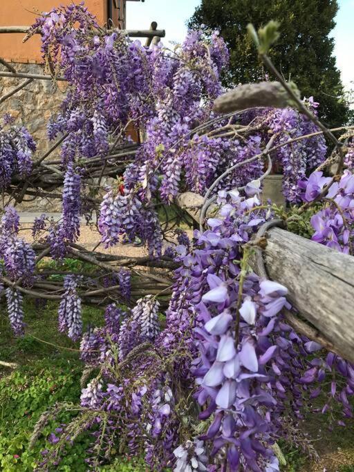 Agriturismo Il Sorbino - Appartamento Da Cocca Pian d'Alma Exteriér fotografie