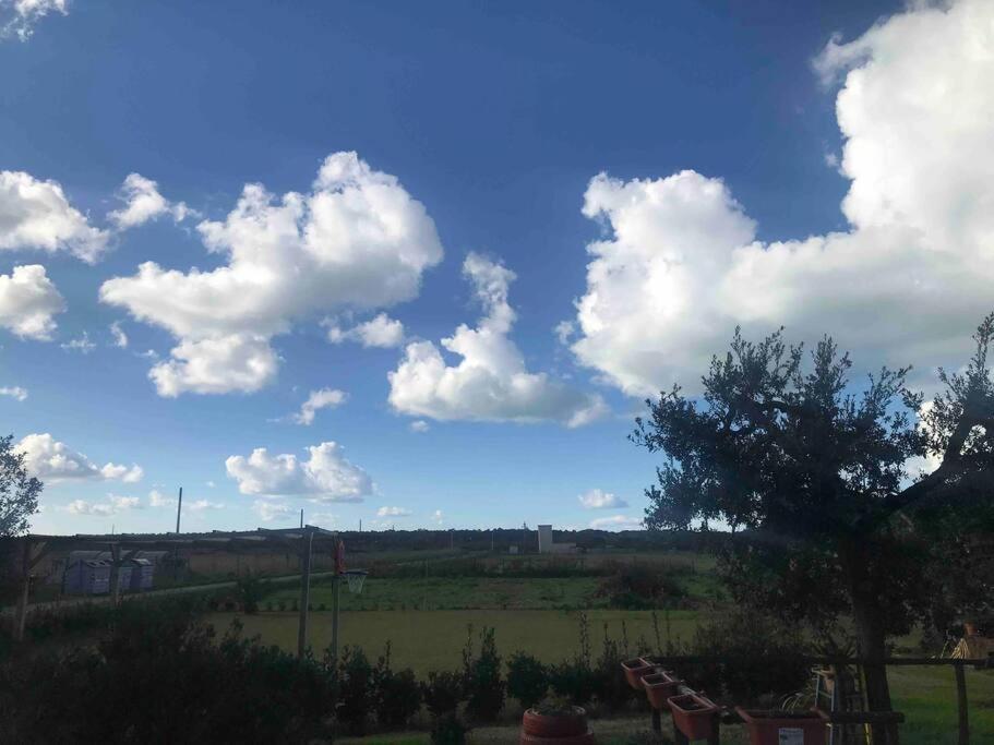 Agriturismo Il Sorbino - Appartamento Da Cocca Pian d'Alma Exteriér fotografie